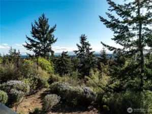 with Olympic Mountain views