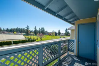 Balcony has storage closet and views of the Park across the street