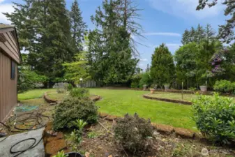 spacious backyard