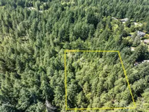 Lovely mostly level 2.47 acres off of Rosedale & 66th Ave. NW in Gig Harbor, WA.