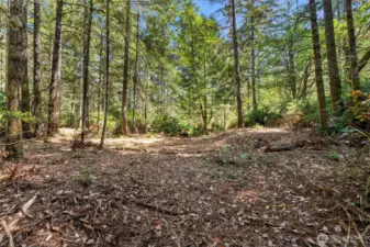 Potential building site on Parcel B.