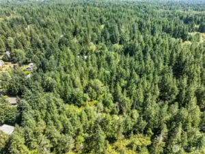 Aerial view of Parcel B.