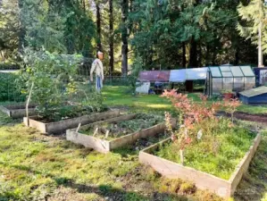 Fruit trees & garden area