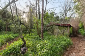 Storage shed in Japanese Garden and sitting area