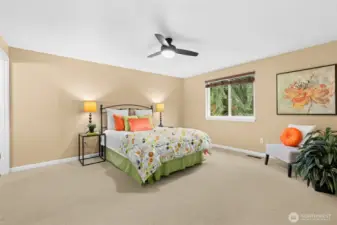 The large primary bedroom offers space for a king size bed and extra furnishings.  A quiet retreat at the back of the home overlooking the back yard.