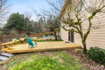 The extra large and level deck off the family room, sets the stage for outdoor dinning and entertaining.  The deck provides a great potential platform for a future covered area.  Note the wide, low rise steps to the lower yard.