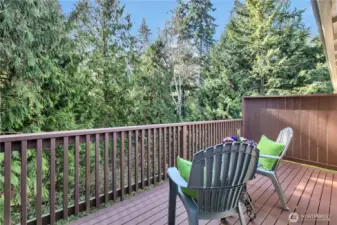 New deck off dining area with wonderful views of Green Space and nature