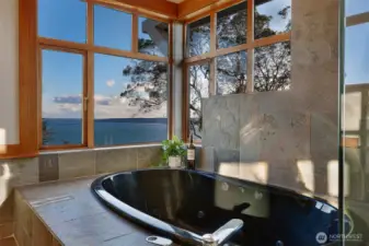 The primary bath is private yet takes full advantage of the treetop views