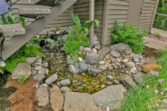 Inviting Water Feature