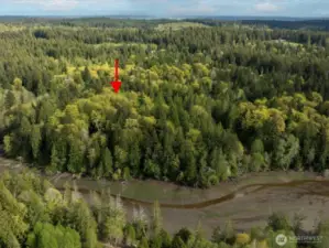 The parcel includes mature trees and natural vegetation as well as small cleared areas to easily walk the property.