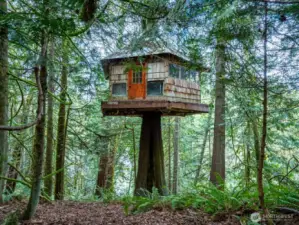The charming tree house was crafted with natural materials and offers a unique vantage point.