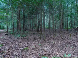 The parcel is situated at the end of a private road for maximum privacy.