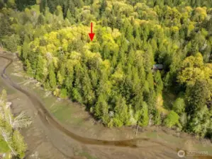 The perfect place to build your dream home, retreat, or use as a summer camping getaway.