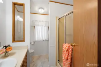 Walk-in shower.