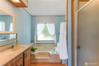 Primary bathroom with soaking tub