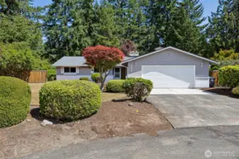 University Place rambler, just up from Chambers Bay!