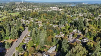 Community view. Capitol building top right and Tumwater hill to the top left of the photo.
