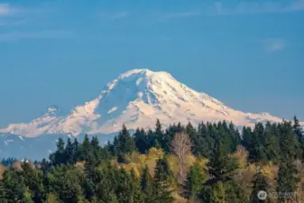 A close up of the view of Mt Rainier that you get from the eat in kitchen window.
