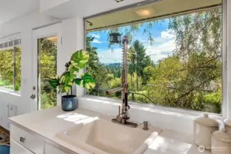 See Mt Rainier from the sink.