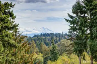 View of Mt Rainier from outside kitchen door.