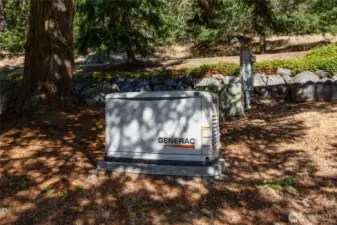 Newer whole house generator