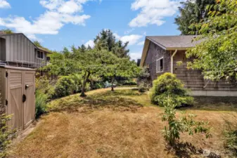Fully fenced backyard with shed, garden space and fruit trees