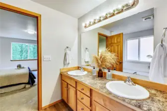 Primary Spa bath w/double vanities, soaking tub, separate shower and walk-in closet.