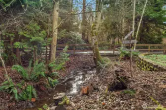 Seasonal Stream at Corner of Property