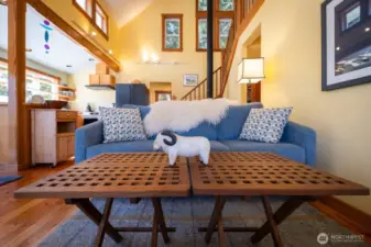 Front row seat to the funny antics of Decatur Northwest's resident sheep flock