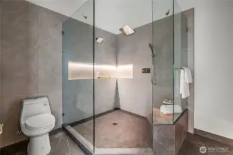 Low voltage showe niche lighting and custome plumbing