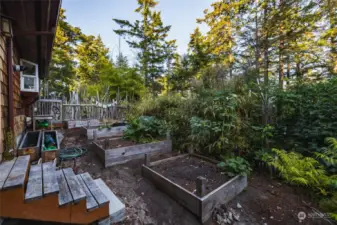 Another view of the raised beds with stairs from kitchen door.