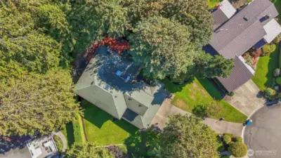 Large side yard with privacy trees and shade