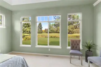 MASTER BEDROOM - Looking out to back yard and fairway...