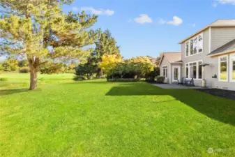 Large rear yard - ** Sod photo shopped. (To be installed prior to closing).