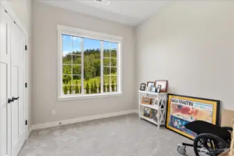 Bedroom #3 also features automated shades.