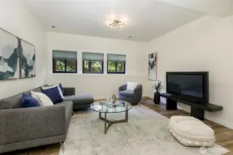 Lower Level Family Room