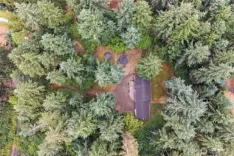 Large 1.26 acre lot