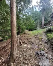 From very back of property and showing property line with neighbor.