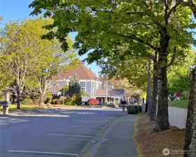 Town Hall featuring on-site PMO, activities office, meeting rooms, and game room