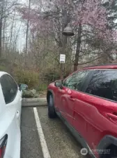 Guest parking located throughout the complex.