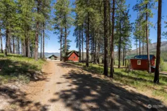 Naturally landscaped with tall pines and wildflowers. Wildlife and assorted birds seen here everyday.