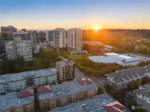 Adjacent to the Bellevue library!