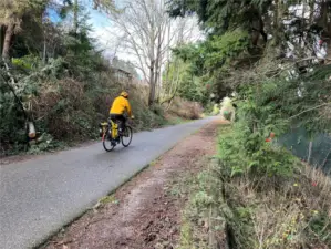 Burke Gilman Trail