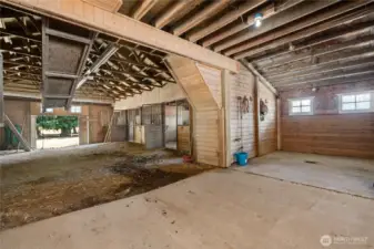 Spacious barn zone with built-in wash rack and grooming space, designed for ease of care and horse comfort.