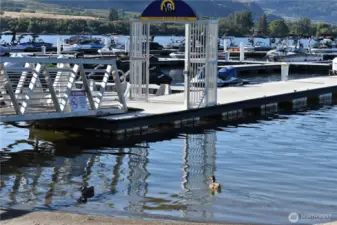 Marina