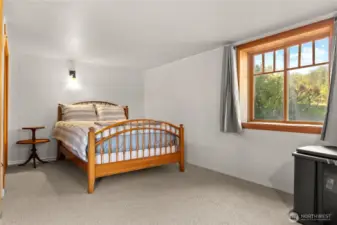Lower level bedroom with closet