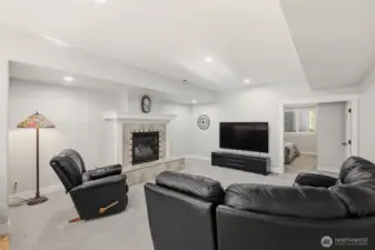 Lower level Living Room