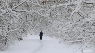 The snowy winter scenery of walking trail