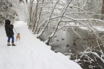 The snowy winter scenery of walking trail