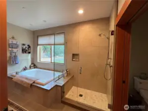 Guest Tub Shower Main